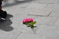 Rosas en memoria de Laura González