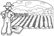 Empleo agrícola (imagen1)