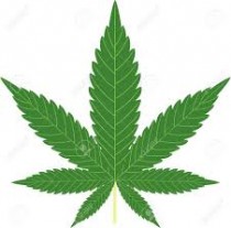 Cannabis (imagen 1)