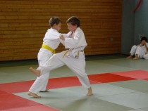 Judo (imagen 1)
